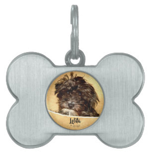Schnoodle Dog Bone geformt Tiermarke