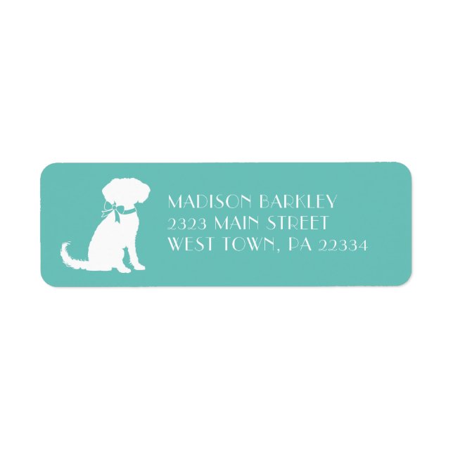 Schnoodle Dog Puppy (Vorne)