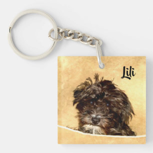 Schnoodle Hund Doppelseitig Schlüsselanhänger