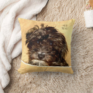 Schnoodle-Hund-Wurfkissen mit Text Kissen