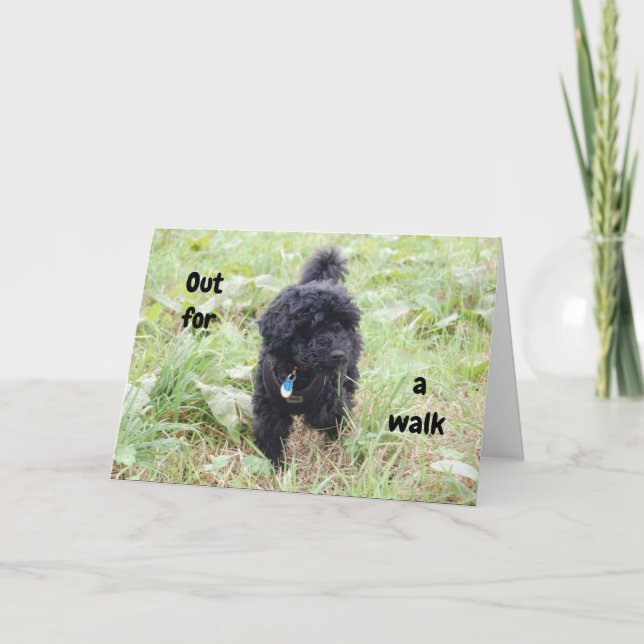 SCHNOODLE PUP SAGT GLÜCKLICH 50. KARTE (Vorderseite)