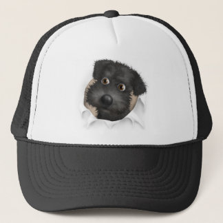 Schnoodle (schwarz) heraus sprengend truckerkappe