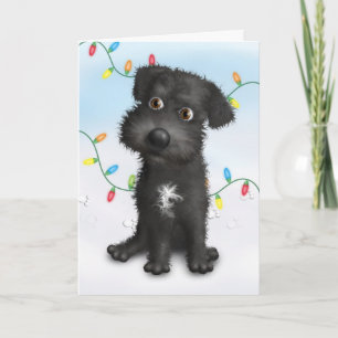 Schnoodle (schwarzes) Weihnachten