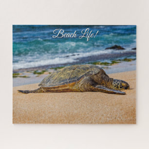 Schnorcheln in der Hanauma Bay, O'ahu