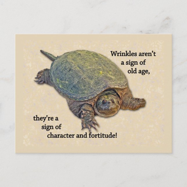Schnupperschildkröte zerknittert alte Weisheit Postkarte (Vorderseite)