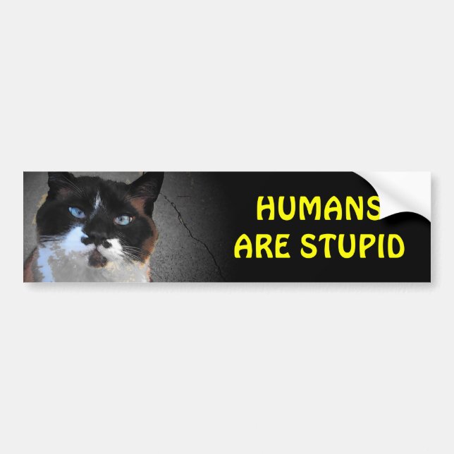 Schnurrbart-Katze sagt, dass Menschen dumm sind Autoaufkleber (Vorne)