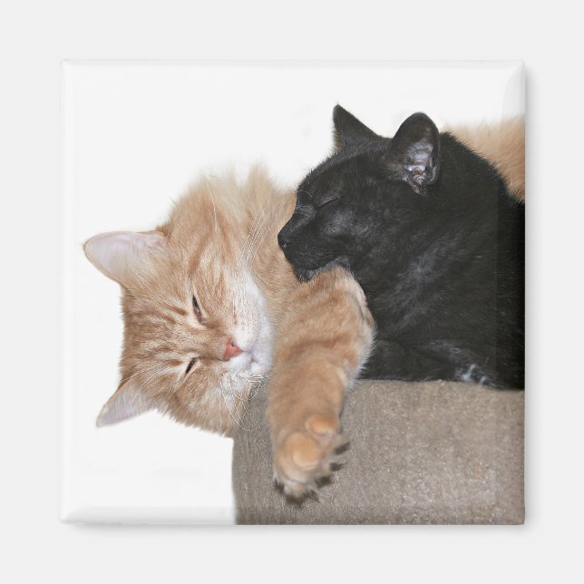 Schnurrbart Magnet (Vorne)