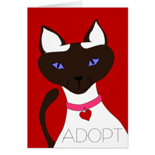 Schnurren-fect Moira ADOPTIERT die kundengerechten