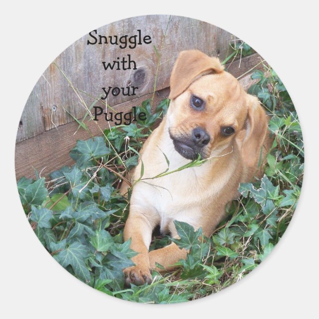 Schnürsenkel mit Puggle-Aufkleber Runder Aufkleber (Vorderseite)