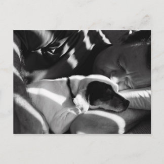 Schnürsenkel Postkarte