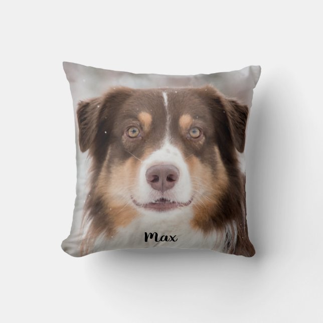 Schokolade, australischer Schäferhund Kissen (Vorderseite)