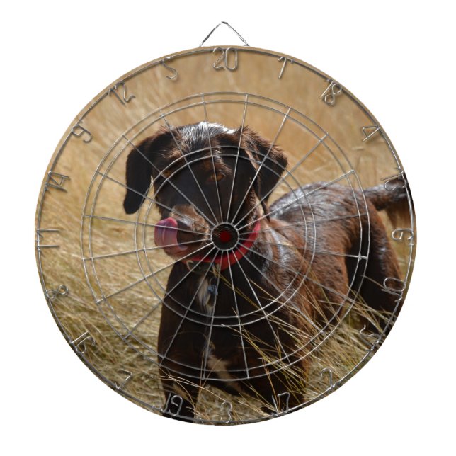 Schokolade Brawn Labrador Retriever Dartscheibe (vorne)