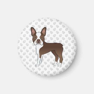 Schokolade Brown Boston Terrier Cartoon Dog & Paws Magnet