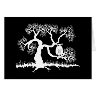 Schokolade im Baum
