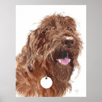 Schokolade Labradoodle #1 Canvas-Druck