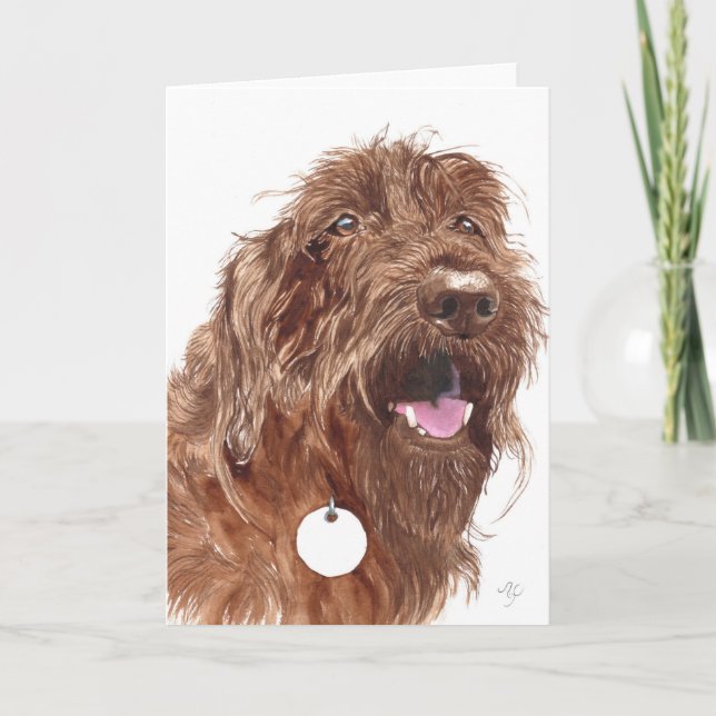 Schokolade Labradoodle #1 Gruß-Karte Karte (Vorderseite)