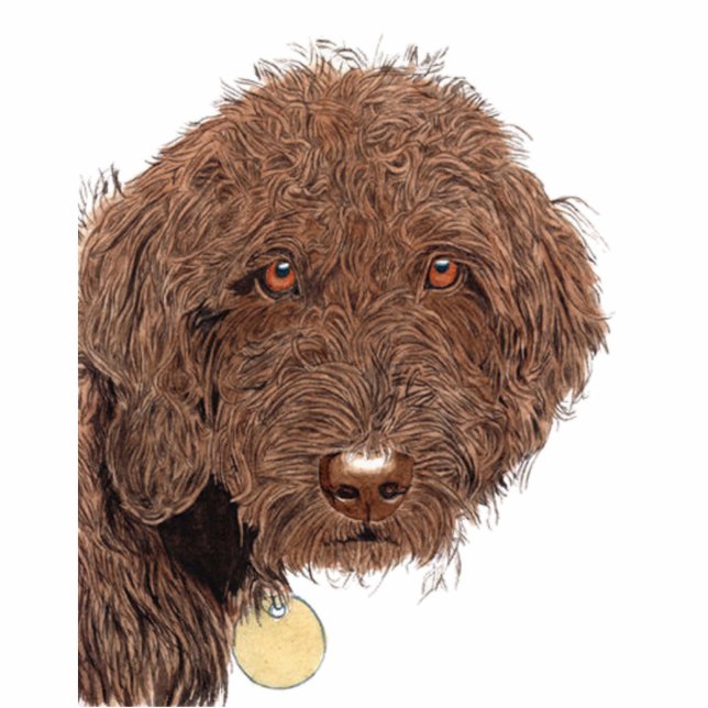 Schokolade Labradoodle Skulptur Freistehende Fotoskulptur (Vorne)