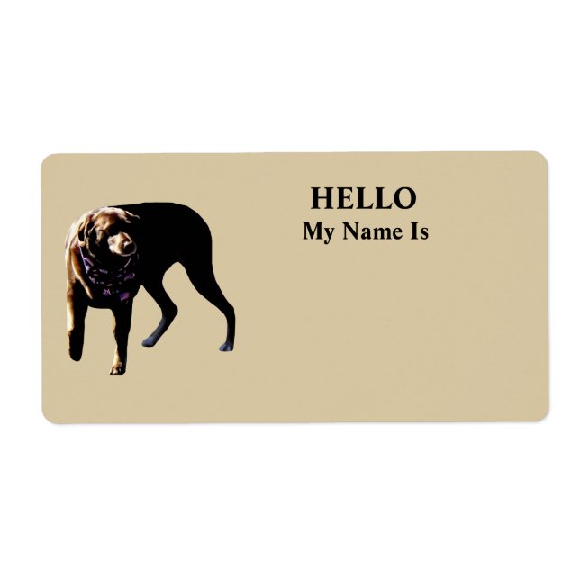 Schokolade Labrador (Vorne)