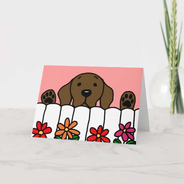 Schokolade Labrador beobachtet Sie Dankeskarte (Vorderseite)