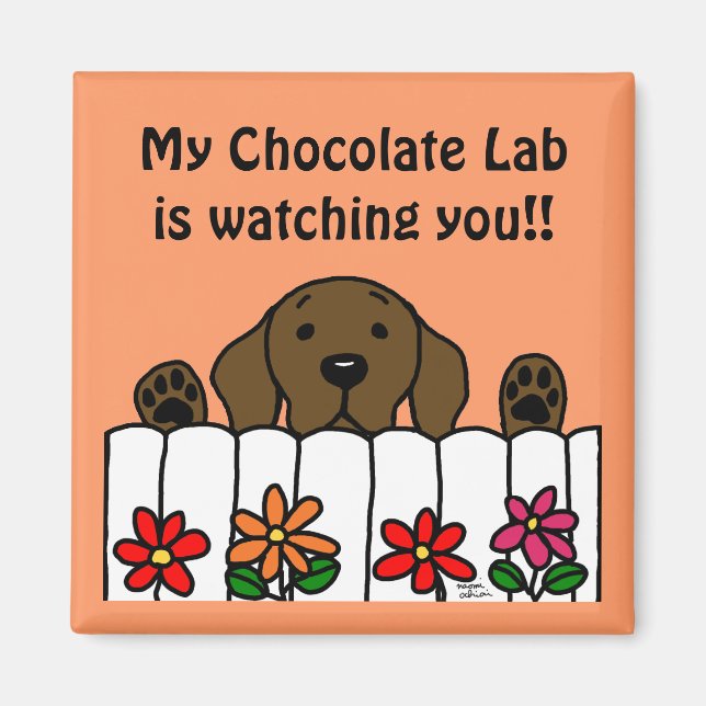 Schokolade Labrador beobachtet Sie Magnet (Vorne)