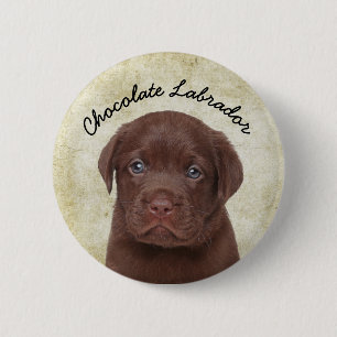 Schokolade Labrador Button