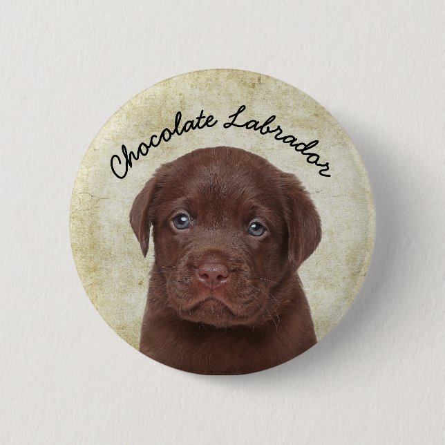 Schokolade Labrador Button (Vorderseite)