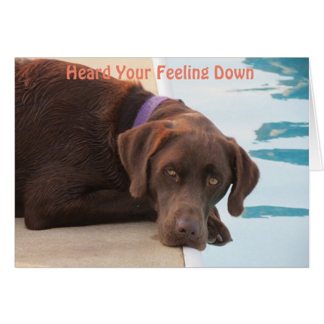 Schokolade Labrador Care & Concern Card (Vorderseite (Horizontal))