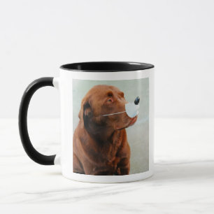 Schokolade Labrador, das eine Fake-Nase trägt Tasse