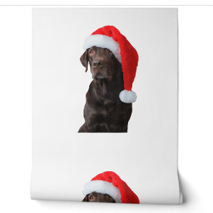 Schokolade Labrador Dog Portrait Weihnachtsmannmüt Tapete