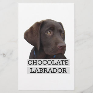 Schokolade Labrador Einzigartiges Design!
