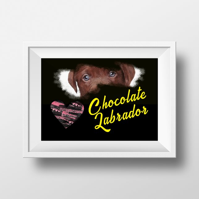 Schokolade Labrador Eyes Solide Farbe Poster (Von Creator hochgeladen)
