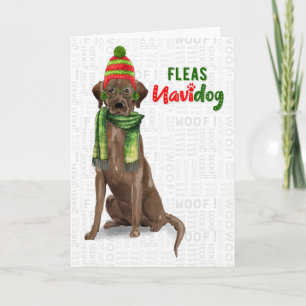 Schokolade Labrador Funny Fleas Navidog Feiertagskarte