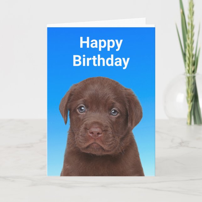 Schokolade Labrador Geburtstag Karte (Vorderseite)