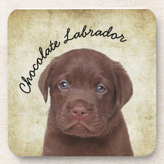 Schokolade Labrador Getränkeuntersetzer (Vorderseite)
