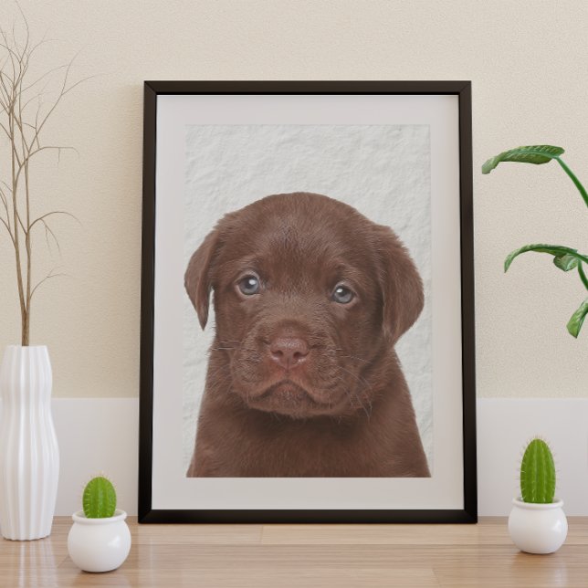 Schokolade Labrador Glossy Poster (Von Creator hochgeladen)