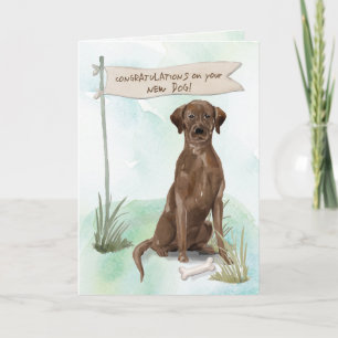 Schokolade Labrador Glückwunsch zum neuen Hund Karte