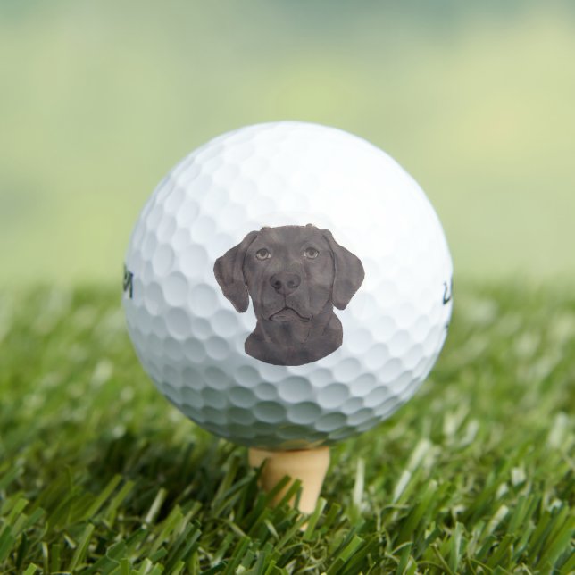 Schokolade Labrador Golfball (Insitu T-Shirt)