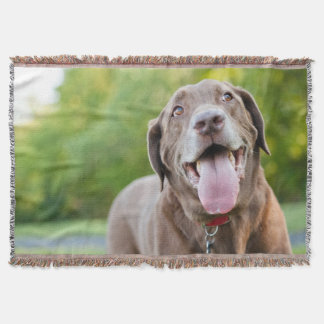 Schokolade Labrador Hund Decke