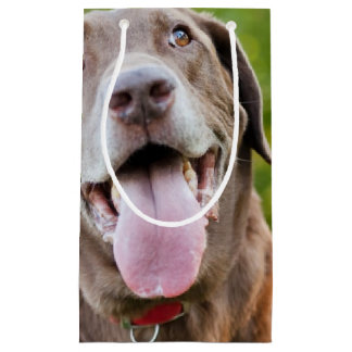 Schokolade Labrador Hund Kleine Geschenktüte