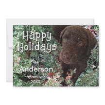 Schokolade Labrador im Winter Grün - Happy Holiday