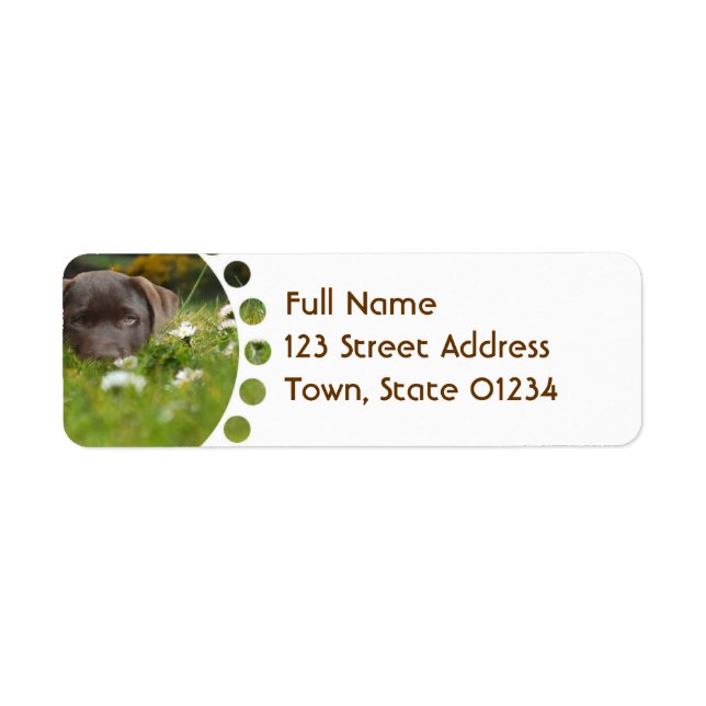 Schokolade Labrador in den Daisies Mailing Labels (Vorne)