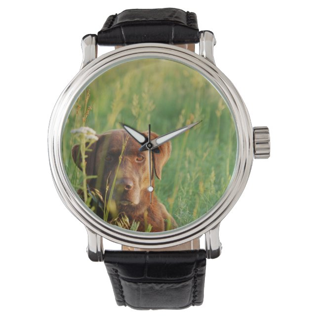 Schokolade Labrador in der Feldüberwachung Armbanduhr (Vorderseite)