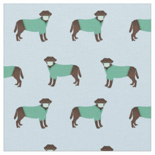 Schokolade Labrador in Scrubs hellblau Stoff