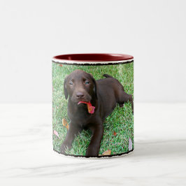 Schokolade Labrador Kaffee Tasse
