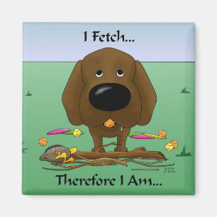 Schokolade Labrador (Labradore) - ich hole… Magnet