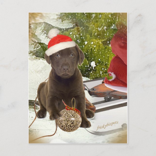 Schokolade Labrador Lieben Weihnachtskarten Feiertagspostkarte (Vorderseite)