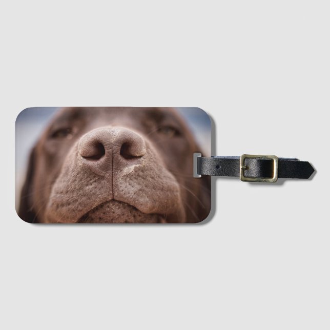 Schokolade-Labrador-Nase-Schließung Gepäckanhänger (Vorderseite (Horizontal))