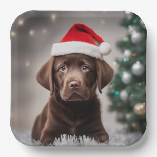 Schokolade Labrador Pappteller