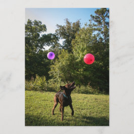 Schokolade Labrador Party Einladung