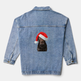 Schokolade Labrador Picture Weihnachtsmannmütze Ni Jeansjacke